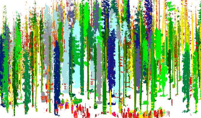 illustration2